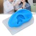 Ear Model ANGGREK Display Ear Model Soft Ear Modeling Tools Teaching Ear Model Elastic Ear Shaping Aids for Showing Learning and Assisting - Buy Online on SooperMarket.com