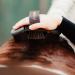 Animalon Careeflex Kard tsche | Ergonomic & Flexible Horse Brush with Velcro Fastener | Essential Cleaning Tool for Horse Care Accessories - Buy Online on SooperMarket.com