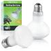 LUCKY HERP Reptile Heat Lamp 75W 2 Pack UVA Reptile Heat Lamp Bulb Amphibian Basking Spot Light Bulb Reptile Daylight Bulb for Turtle Bearded Dragon Lizard Heating Use 75W(2 Pack)