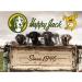 Happy Jack Sarcoptic Mange Medicine - 8 oz - Buy Online on SooperMarket.com