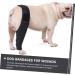 BELLIFFY Dog Foreleg Brace Puppy Knee Braces Dog Acl Brace Hind Leg Paws Pet Mesh Fabric Large Dog Elbow Pads S As Shown - Buy Online on SooperMarket.com