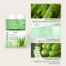 Hydrating Hyaluronic Acid Face Mask | Cooling Gel with Cucumber Extract | Overnight Moisturizer for All Skin Types | Deep Hydration & Acne Improvement - Buy Online on SooperMarket.com