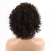 XIUFAXIRUSI Short Curly Afro Wig for Black Women - Brown Kinky Curly Synthetic Hair with Side Bangs - Buy Online on SooperMarket.com