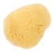 Baluue Natural Facial Sponge Round Cleansing Sponge Cosmetic Removal Sponge Portable Sponge for Facial Cleansing Exfoliating Makeup Removal
