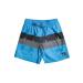 Quiksilver Boys Word Block Volley Youth 15 Boardshorts XS Blue