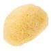 Mikinona Natural Sponge Greece Facial Face Scrubber Face Sponge for Washing Face for Facials Face Cleaning Pad Facial Essentials Face Supplies Cleansing