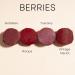 Honeybee Gardens Truly Natural Long Lasting Lipstick - Risque (Matte Red Wine) 0.13 oz - Vegan, Gluten & Cruelty-Free - Buy Online on SooperMarket.com