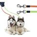 Buy Gobesty Double-Pulling Dog Leash - Retractable 3M Leash for Two Dogs with LED Light & Garbage Box | International Shipping - Buy Online on SooperMarket.com