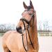 HORZE Lester Dressage Snaffle Bridle with Reins - Black Horse | Quality Equestrian Gear - Buy Online on SooperMarket.com
