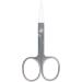 Brushworks Nail Scissors - Precision Stainless Steel Beauty Tool - Buy Online on SooperMarket.com