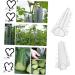 Kisangel 2pcs Shaped Silicone Fruit Stereotypes Fruit Child Plant - Buy Online on SooperMarket.com