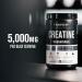 Creatine Monohydrate Powder - Creatine Supplement for Muscle Growth Increased Strength Enhanced Energy Output and Improved Athletic Performance by Jacked Factory - 85 Servings Peach Mango Peach Mango 85 Servings (Pack of 1) - Buy Online on SooperMarket.com