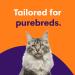 ORIVET Cat Breed DNA Test - 1 Pack | Comprehensive Genetic Health Screening & LifePlan | At Home Cheek Swab | Accurate & Fast Results - Buy Online on SooperMarket.com