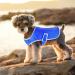 Cool Vest for Dogs - Breathable Summer Shirt for Small Medium & Large Dogs | Perfect for Outdoor Activities - Buy Online on SooperMarket.com