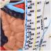 Model Anatomy Professional Medical Acupuncture Male 60 cm Super Clear Letters Media Skin Middle Muscle Model Acupoint - Buy Online on SooperMarket.com
