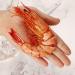 Mantis Shrimp Nine Sections Dried Shrimp Instant Grilled Shrimp Extra Large Seafood Aquatic Dried Shrimp Jiujiexia (32 oz) - Buy Online on SooperMarket.com