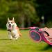 Edipets 5m Retractable Dog Leash - Flexible & Extendable Pink Leash for Dogs Up to 50kg | Perfect for Walks & Outdoor Adventures - Buy Online on SooperMarket.com