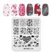 Alexnailart Nail Art Stamping Plate Heart Template Image Plate Nail Art Tools (FE014)