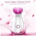 Healeved 2pcs Facial Care Steamer Handy Mist Face Steamer Sprayer Facial Spa Steamer Facial Steamer - Buy Online on SooperMarket.com