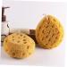 2pcs Exfoliating Bath Sponge Set | Back Scrubber & Body Wash Accessories | Ideal for Shower & Skin Cleaning - Buy Online on SooperMarket.com