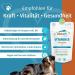 Dog Fit by Prethis - Vegan B Vitamin Complex for Dogs | Nerve Strengthening Incontinence & Nervousness Support | Large Animals (25kg+) - Buy Online on SooperMarket.com