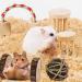 ACLUYSKA 21PCS Hamster Guinea Pig Toys | Small Animal Activity Chew Accessories | Apple Wood Ladder Bell Roller | Teeth Care for Dwarf Hamsters, Rats, Chinchillas, Gerbils, Bunnies - Buy Online on SooperMarket.com