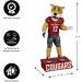 Buy Evergreen NCAA Washington State Cougar Tiki Totem - Unique Home Decor for Fans - Fast International Shipping - Buy Online on SooperMarket.com