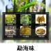 Pu-erh tea 2015 early spring tea 357g Raw - Buy Online on SooperMarket.com