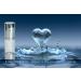 Buy Sterile Airless Pump Bottle 1 OZ - Refillable Cosmetic Container for Makeup & Serums Leak-Proof & Shockproof BPA-Free - International Shipping Available - Buy Online on SooperMarket.com