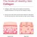 Multi Collagen Premium Toner for Dry Skin | pH Balancing with Niacinamide & Guava Leaf | K-Beauty Cruelty Free | 6.67 fl oz - Buy Online on SooperMarket.com