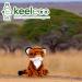 Deluxe Tiger Plush Eco Toy - 100% Recycled Material | Cuddly & Soft - Buy Online on SooperMarket.com