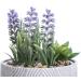 Artificial Succulent Plants Potted Essential Oil Diffuser with 7 Colors LED Light - Grey | Aromatherapy Ceramic Cool Mist Diffuser for Home and Office - Buy Online on SooperMarket.com