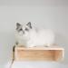 Yiotl Wall-Mounted Cat Shelf Set - Modern Solid Wood Furniture with Hammock, Climbing Bridge, and Cat Mat - Buy Online on SooperMarket.com