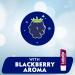 Labello BlackBerry Shine Lip Balm 4.8g - Hydrating Lip Care for Smooth, Luscious Lips - Buy Online on SooperMarket.com