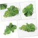 PLAFOPE Lettuce Hairpin Aesthetic Hair Clips Hair Clips Hair Accessories for Women Clips for Hair Alligator Hair Clips Hair Clips for Teen Cute Hair Accessories Small Hairpin - Buy Online on SooperMarket.com