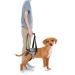 Hamon portable dog harness for the hind legs wearing aid dog back dog lifting harness dogs for the hind legs for older sick or operated dogs (m)