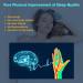 nvede Neurocontrol Dispositivo para Ansiedad Neurocontrol Sleep Aid Device Hand Held Nighttime Sleep Aid Device Neurocontrol para Ansiedad Neurocontrol Ansiedad (White) - Buy Online on SooperMarket.com