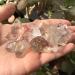 100g Natural raw Clear Smokey Quartz Rough Stone Natural Quartz Crystals Stone for Natural Luster - Buy Online on SooperMarket.com