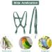 Felenny Bird Dishes & Adjustable Leash - Essential Outdoor Accessories for Scarlet Red Ara Sun Conure & Nymphensittich (Green Small) - Buy Online on SooperMarket.com