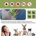 Nepfaivy Tick Remover Tool for Dogs - 3 Pcs Painlessly Tick Remover for Humans and Cats Pets Green - Buy Online on SooperMarket.com