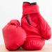 PiscatorZone Adult Boxing Gloves - Black & Red Kickboxing Professional Gloves (2 Pair) for Punch Bag - Buy Online on SooperMarket.com