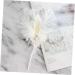 NAMOARLY 2 Pcs Insert Pearl Trim Pearl Decor Beige Decor Ostrich Trim Baking Diy Decor Dessert Inserting Decor Inserting Baking Topper Baking Toppers Insert Card Cake White White 12X5.5CM - Buy Online on SooperMarket.com