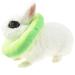 Fladorepet Rabbit Protection Cone & Elizabethan Collar for Small Animals | Avocado Costume (Small 1 Piece) - Buy Online on SooperMarket.com