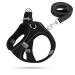 Dog harness Small dogs puppy dishes catware dogs dishes bright with a leash curli dog dog harness dishes dog puppies (black XS) xs black