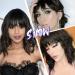 Short Brown Wavy Bob Wig with Bangs | Premium Synthetic Medium Length Wig for Women | Curly Dark Brown Cosplay Wig 12 Inch - Buy Online on SooperMarket.com