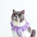 Yeapeeto Cat Recovery Suit | E-Collar Substitute for Cats | Prevent Licking Abdominal Wounds | Breathable & Warm After Surgery | Purple S - Buy Online on SooperMarket.com