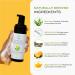 The Natural and Organic Family Clarifying Face Wash with Salicylic Acid - Facial Cleanser for Oily Normal and Combination Skin - Exfoliating Pore Minimizing Formula for Teens and Kids Face Wash Apple - Buy Online on SooperMarket.com