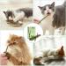 OSDUE 12PCS Cat Catnip Sticks Catnip Toys for Cats Teething Toys Cat Chew Toy Teeth Clean Chewing Grindin for Cat Kitten Kitty Natural Wood Sticks for Cats Play and Relax A-12 PCS Cat Catnip Sticks - Buy Online on SooperMarket.com