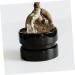 BESPORTBLE Pet Water Feeder Ants Waterer for Garden Ants Nest Water Feeder Ants Farm Water Feeders Plastic - Buy Online on SooperMarket.com