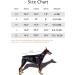 Dog Hoodie Fashion Soft Cotton Puppy Hoodie Pet Clothes Warm Autumn Winter Coat for Cats Small Dogs Medium Dogs (X-Small Black) X-Small (Under 3.3lb) Black - Buy Online on SooperMarket.com